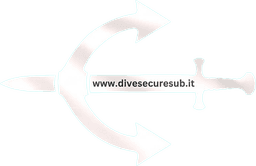 DiveSecureSub symbol
